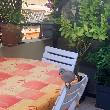 Relax Au Soleil - Avec Grande Terrasse - Proche De La 100 M Et Du Centre Appartement Menton